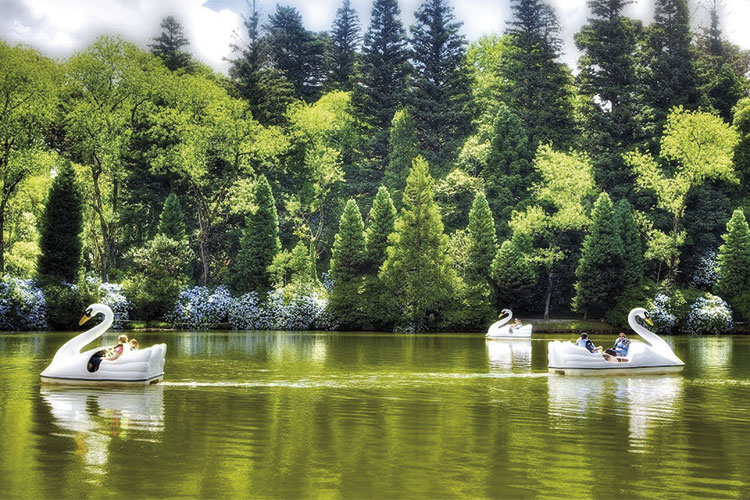 lago negro