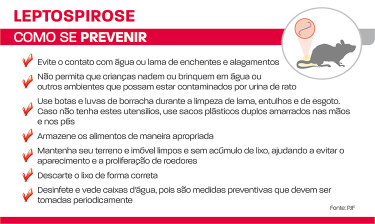 Risco de contrair leptospirose é maior no período chuvoso 1 leptospirose 1