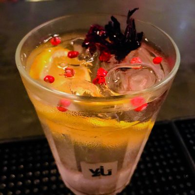GIN TONICA e1551445419618