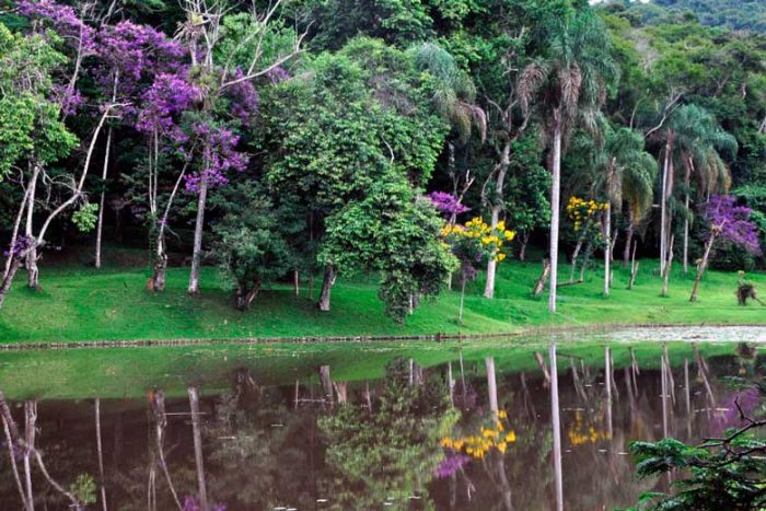 jardim botanico by ufjf
