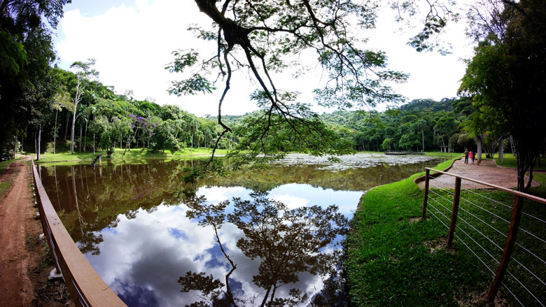 4jd-botanico-by-olavo-prazeres 4jd-botanico-by-olavo-prazeres