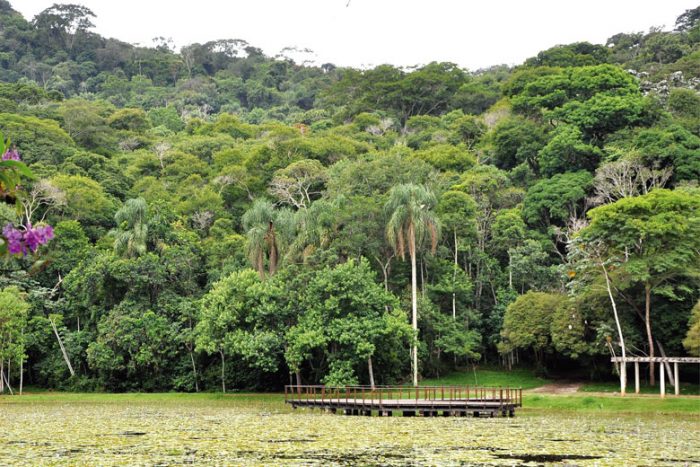 JArdim