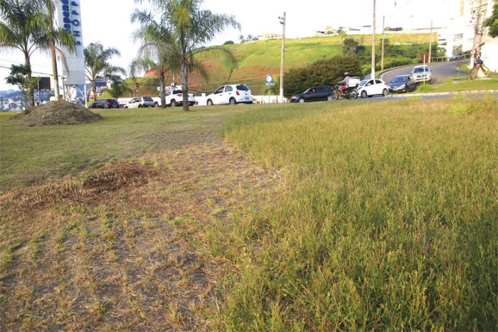 Poda é feita pela metade na Zona Sul 1 VU capina 03 04 19 2