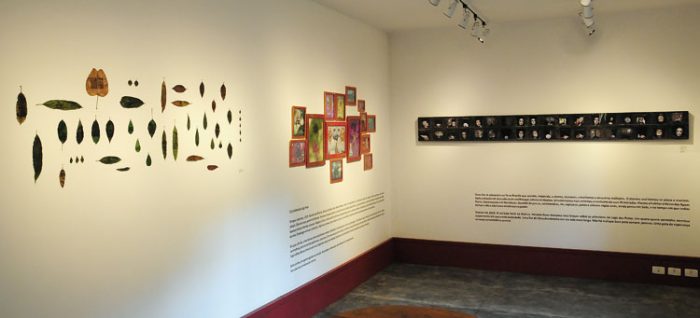 Conheça as exposições abertas no Jardim Botânico da UFJF 2 jardim botanico