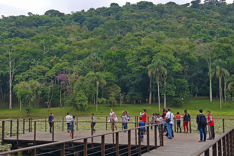 Imagem: Jardim Botânico recebe primeira visita escolar