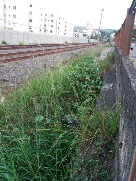 Margem de trilhos tem mato e água parada 1 mato alto usar essa