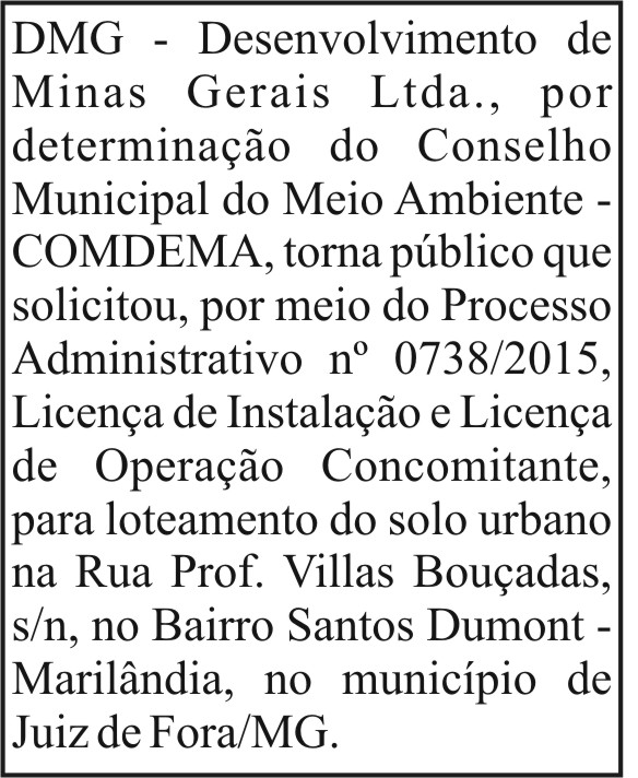 DMG - Desenvolvimento de Minas Gerais Ltda. 4 1 DMG.