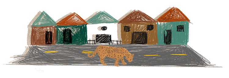 Casas