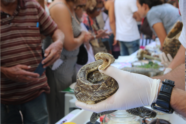 Estudantes de Biologia da UFJF mostram suas pesquisas no Calçadão 1 UFJF 1priamo