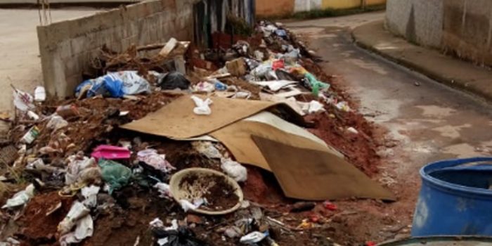 Vida Urbana Milho Branco1