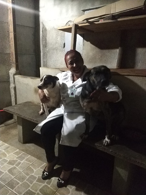 conceicao003