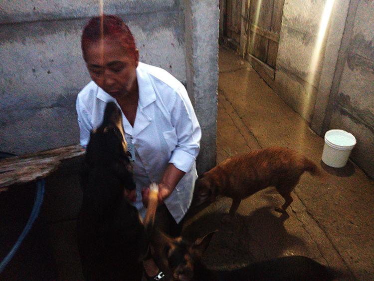conceicao02