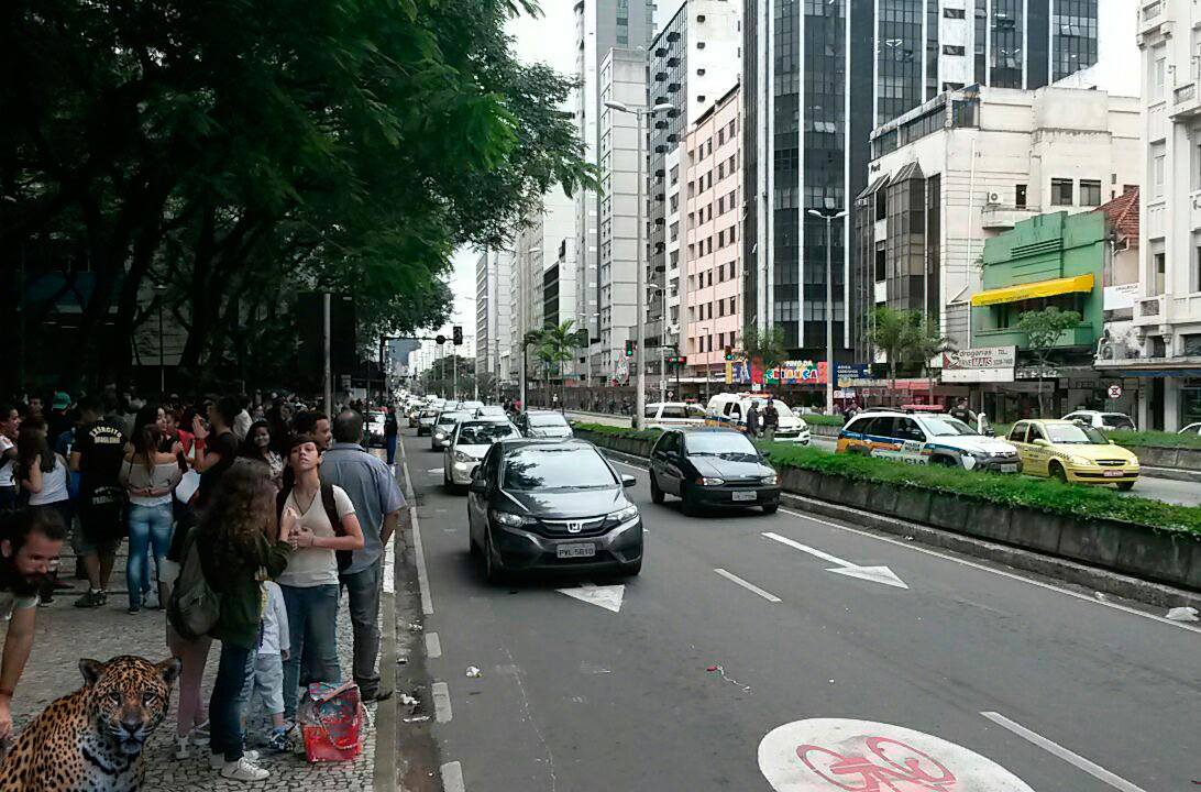 Onça pintada 'rolezeira' rende memes nas redes sociais 9 onça ph