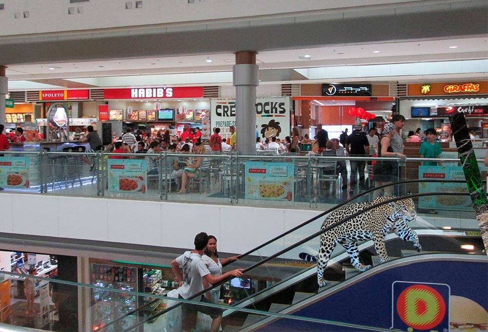 Onça pintada 'rolezeira' rende memes nas redes sociais 7 onça shopping