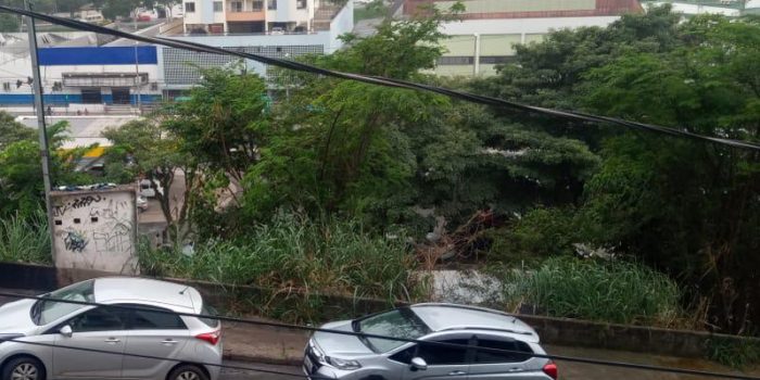 Falta de capina em terreno preocupa moradores do Morro da Glória 1 VU MorroDaGloria 11.06