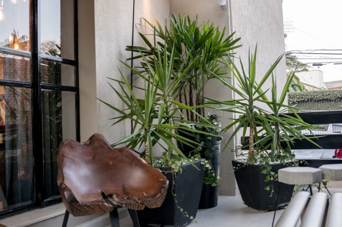 Natureza indoor | Maneiras contemporâneas de usar plantas na decoração 9 conjunto de plantas