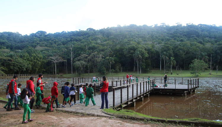 Crianças visitam Jardim Botânico após reabertura 1 jardim priamo