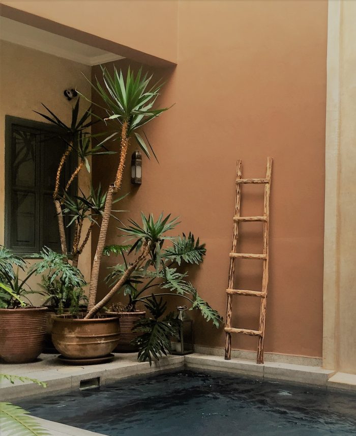 Natureza indoor | Maneiras contemporâneas de usar plantas na decoração 4 marrackech 2 2