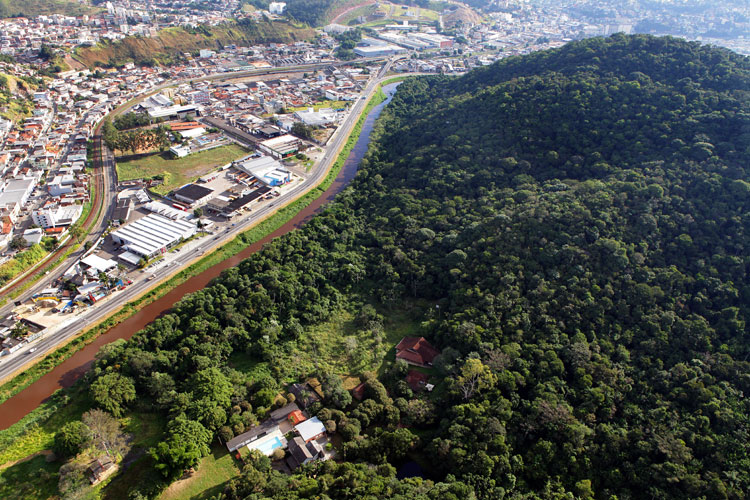 Mata do Krambeck está próxima de ser transformada em parque 1 mata1 fernando priamo 1