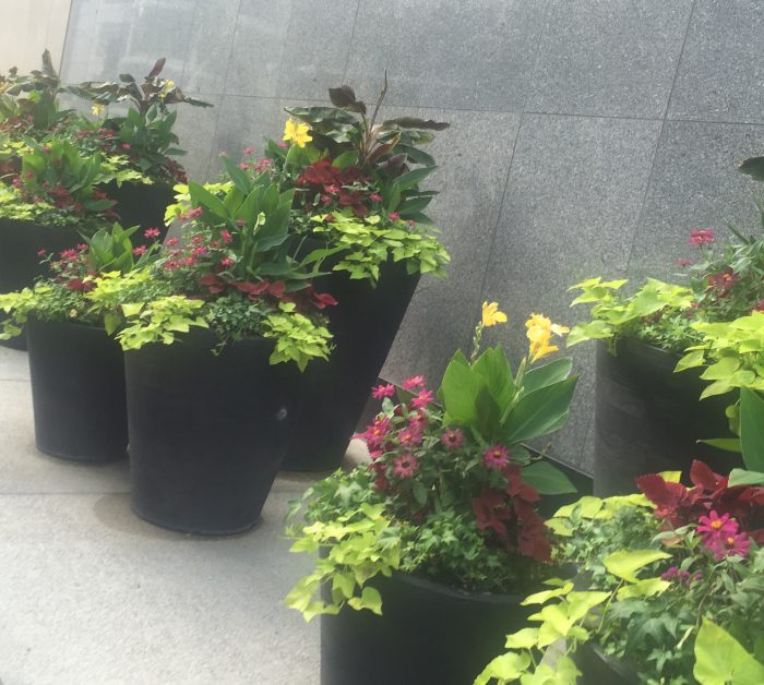 Natureza indoor | Maneiras contemporâneas de usar plantas na decoração 8 vasos