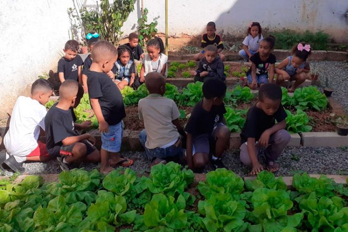Estado vai retomar ensino integral em 11 escolas de Juiz de Fora 3 2 horta 1 foto Marinez Miranda Esteves
