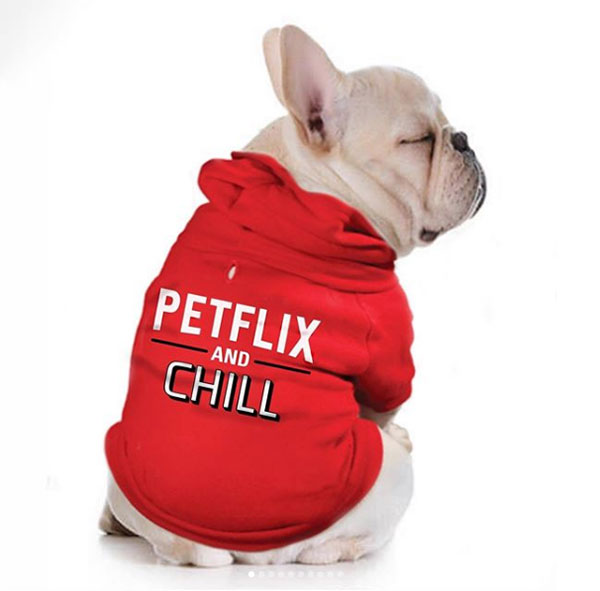 Novidades para deixar seu cãozinho estiloso neste inverno 3 Pop dog reprodução instagram
