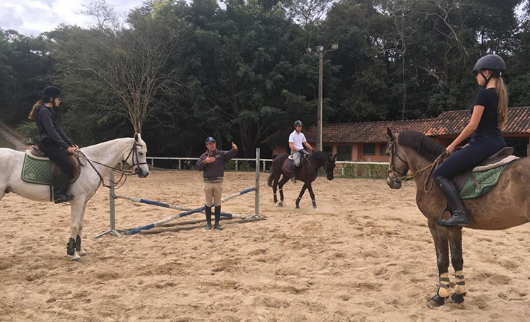 Juiz de Fora tem prova hípica de salto neste sábado 2 esp hipismo Guilherme Ciampi clínica foto Madalena Costa