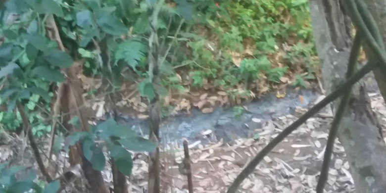 Leitor reclama de falta de manutenção em córrego 1 VU ParqueIndependência 1408
