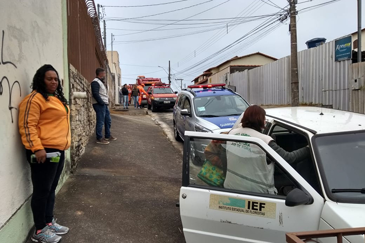Demlurb faz ação de conscientização sobre focos de incêndios 1 alerta verde demlurb1 divulgação