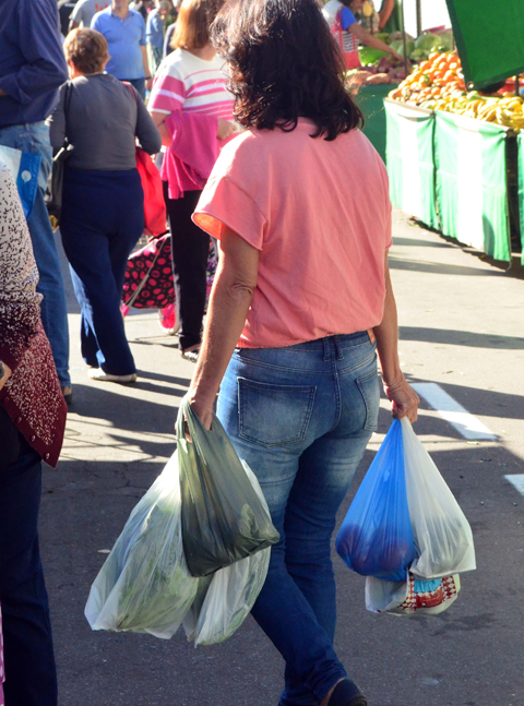 Lei das sacolas plásticas aguarda regulamentação há dez anos 2 sacola