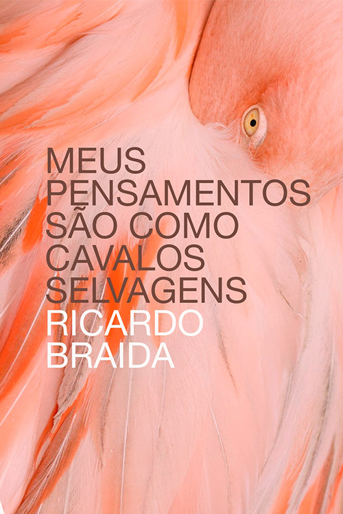 Ricardo Braida lança seu primeiro romance neste sábado 1 capa braida