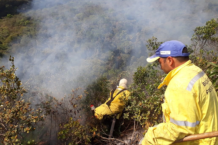 Incêndio atinge área de mata em Ibitipoca 4 incendio serra negra marcio lucinda01