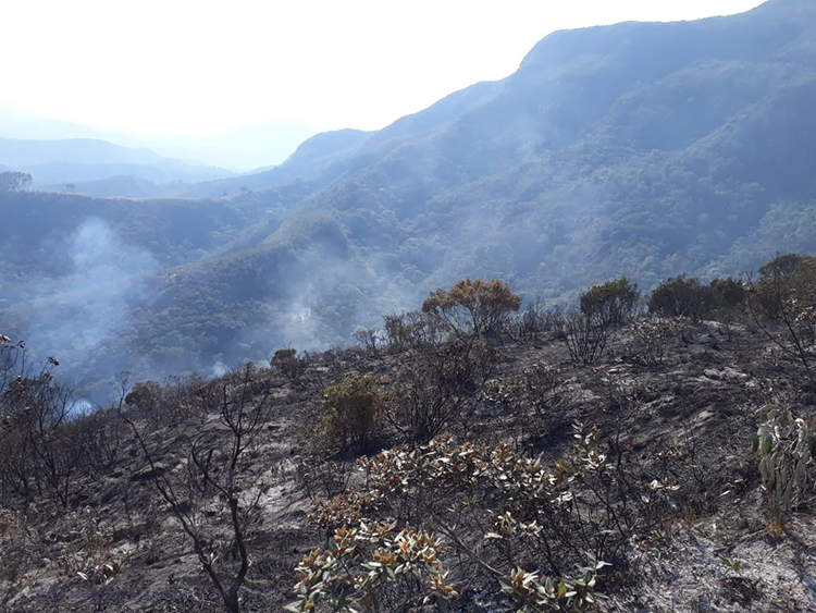 Incêndio atinge área de mata em Ibitipoca 6 incendio serra negra marcio lucinda03