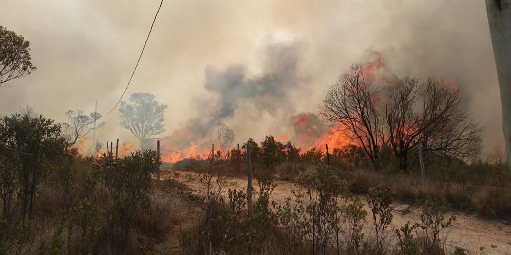 Incêndio atinge área de mata em Ibitipoca 1 incendio serrinha ibitipoca 03 luciano piza