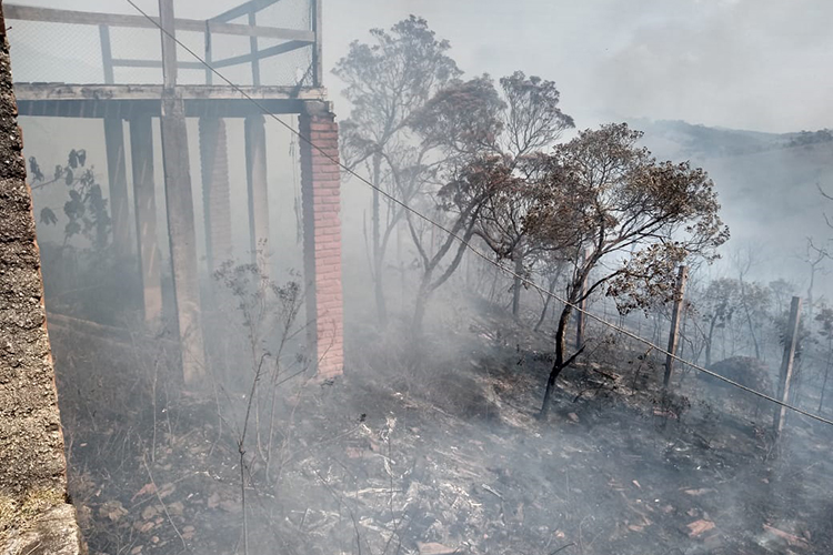 Incêndio atinge área de mata em Ibitipoca 2 incendio serrinha ibitipoca 10 luciano piza
