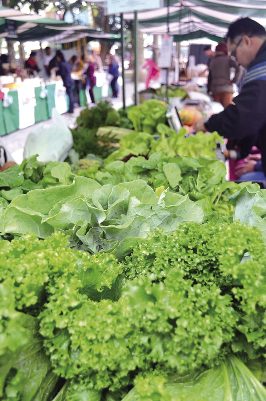 Alimentos livres de agrotóxicos ganham mercado juiz-forano 1 sem agrotoxico olavo5