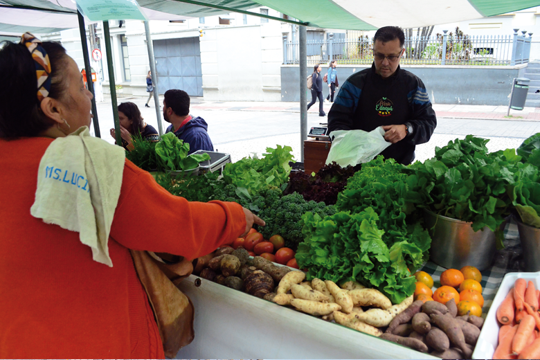 Alimentos livres de agrotóxicos ganham mercado juiz-forano 5 sem agrotoxicos olavo 3