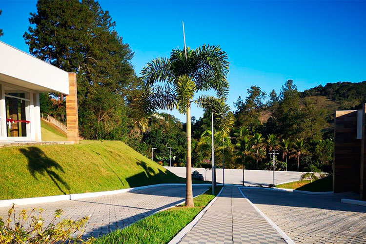 Planos funerários cobrem custos de cremação 1 FOTO 52