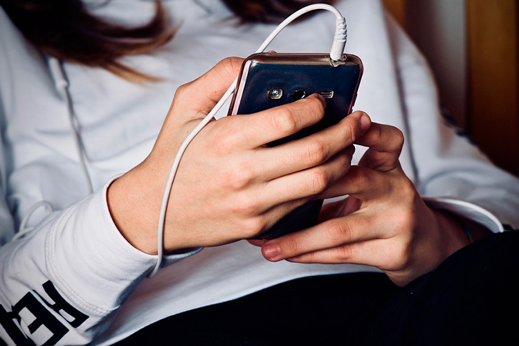 Donos de animais de estimação devem ter cuidados especiais durante pandemia 9 celular internet