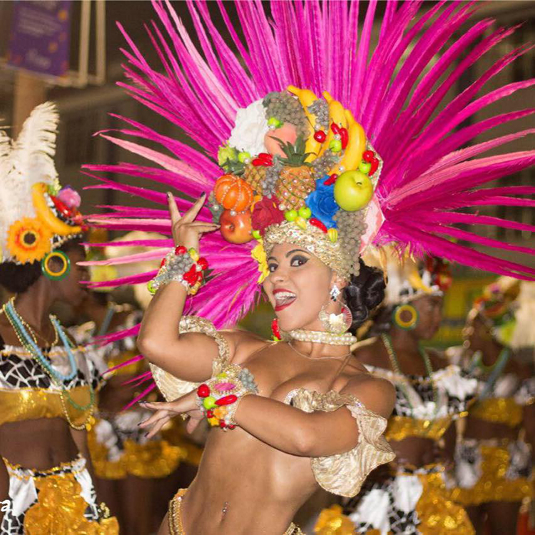 Bloco do Monte Castelo se transforma em escola de samba 1 jessica