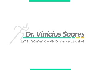 logo vinicius soares