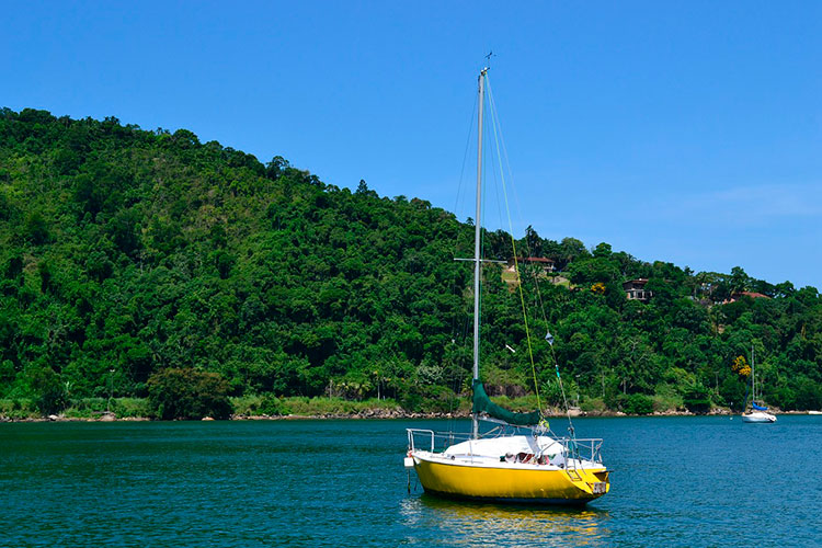 Conheça as belíssimas praias de Ubatuba 2 Imagem de Larissa Mora Lary por Pixabay 2