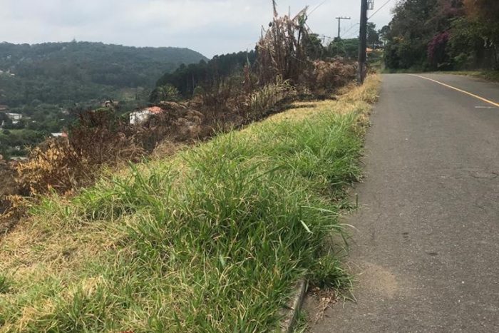Matagal preocupa moradores do Bairro Novo Horizonte 4 VU NovoHorizonte 2211