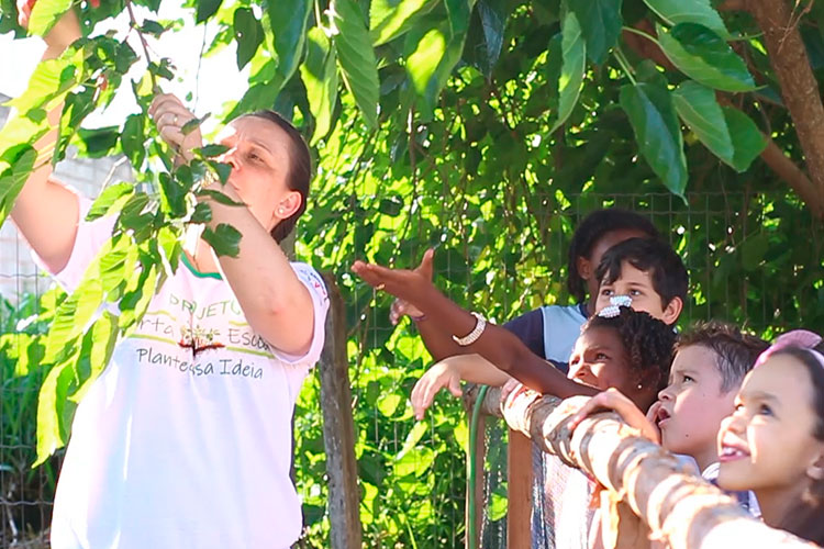 Escolas municipais se unem para mudar alimentação de crianças 1 alimentação
