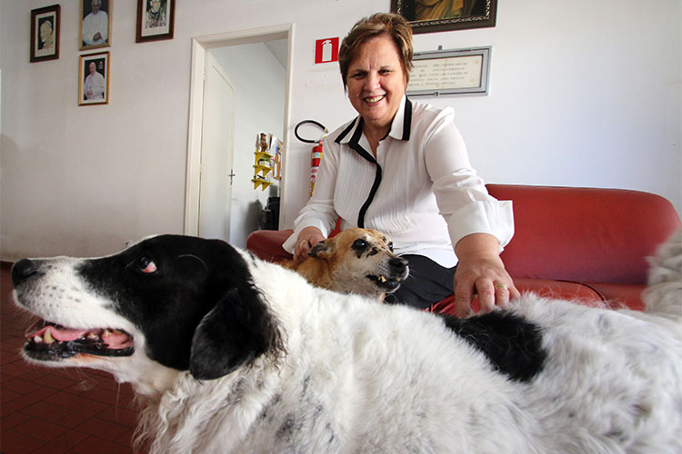 A troca mútua de carinho e respeito na Casa São Camilo de Lellis 3 post2