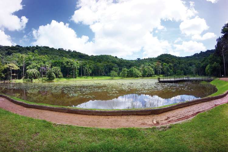 jardim botânico olavo