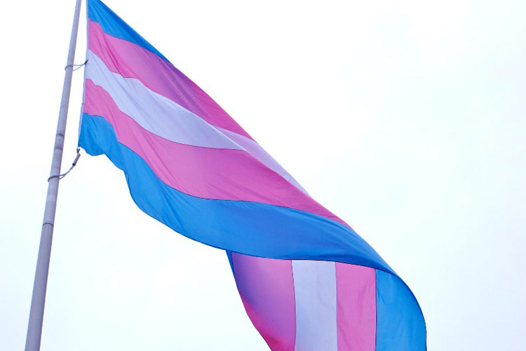 UFJF celebra o Dia Nacional da Visibilidade Trans 1 visibilidade trans divulgação