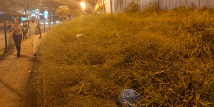 Matagal e insetos na calçada de escola 1 VU SãoPedro 2102