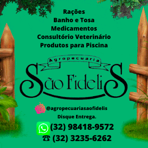 Logo 300x SF