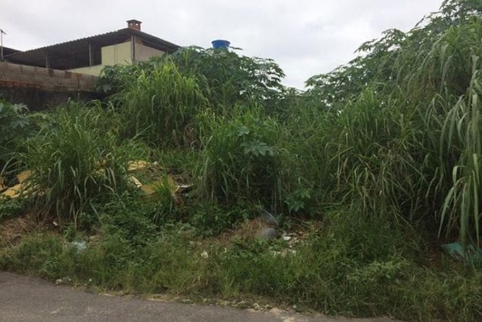 Mato e lixo acumulado em terreno abandonado 1 VU BelaAurora2 1303